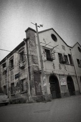 IMG_6391.JPG
