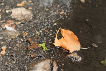 IMG_6407.JPG