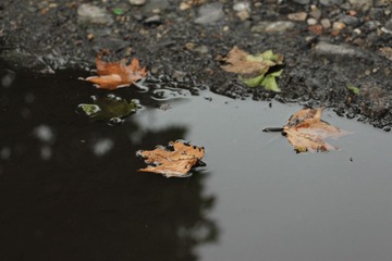 IMG_6414.JPG