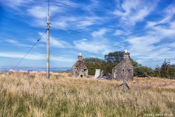C08A1111.jpg