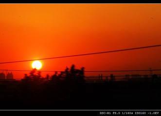 DSC01304.JPG
