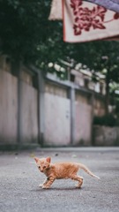 3572776