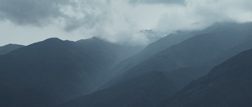 3648719