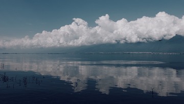3592749
