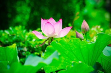 _DSC0680.jpg