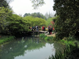 IMG_2855.JPG