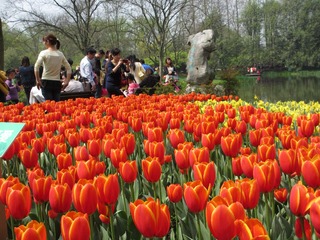 IMG_2904.JPG