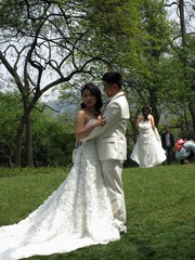 IMG_2930.JPG