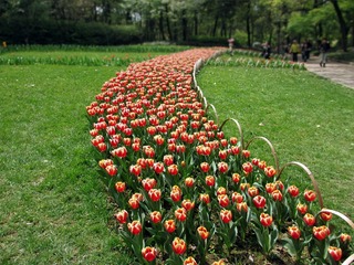 IMG_2939.JPG