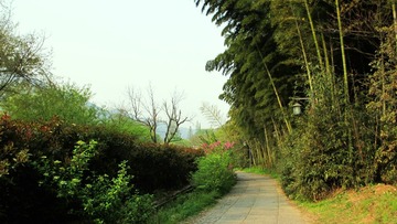 IMG_3085.JPG