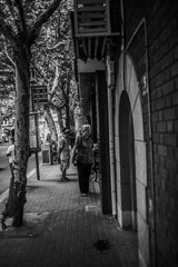 _MG_2505-2