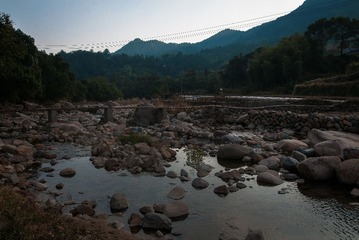 _DSC0974