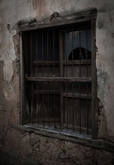 _DSC1347
