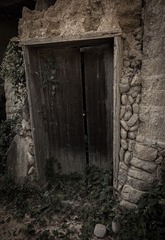 _DSC1360
