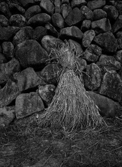 _DSC0980