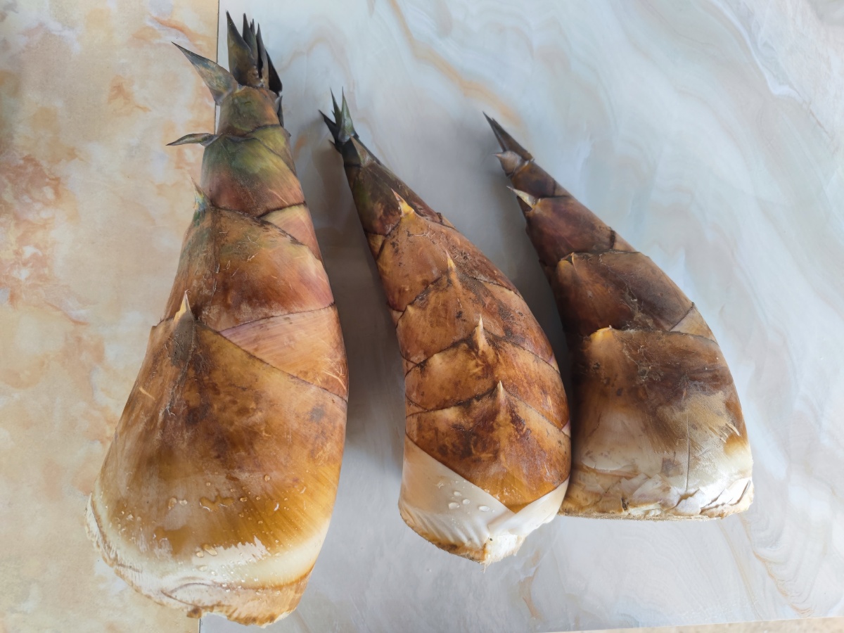 云南甜笋 - hellobanana - 图虫