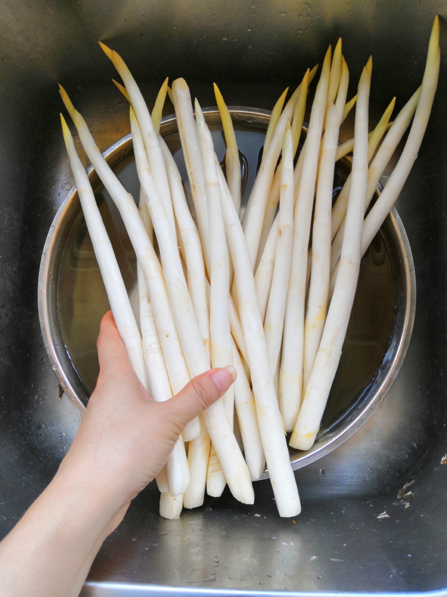 云南名菜建水草芽