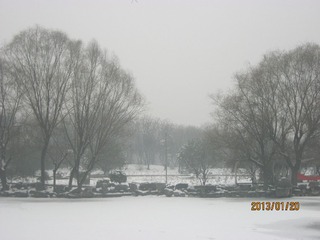 IMG_5749.JPG