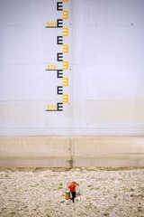 461802