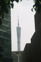7056169