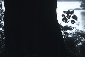 204171