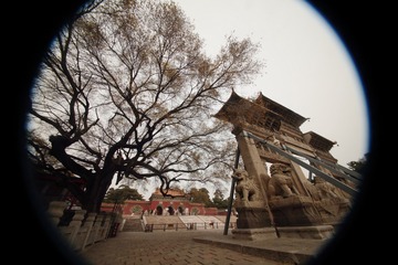 A3B3F259-4CF6-482A-8DC3-DD8365E5EA6E/L0/001