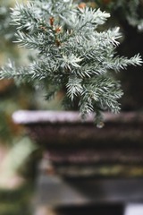C85DA869-F1DA-45FE-A4A7-C06E5009034B/L0/001