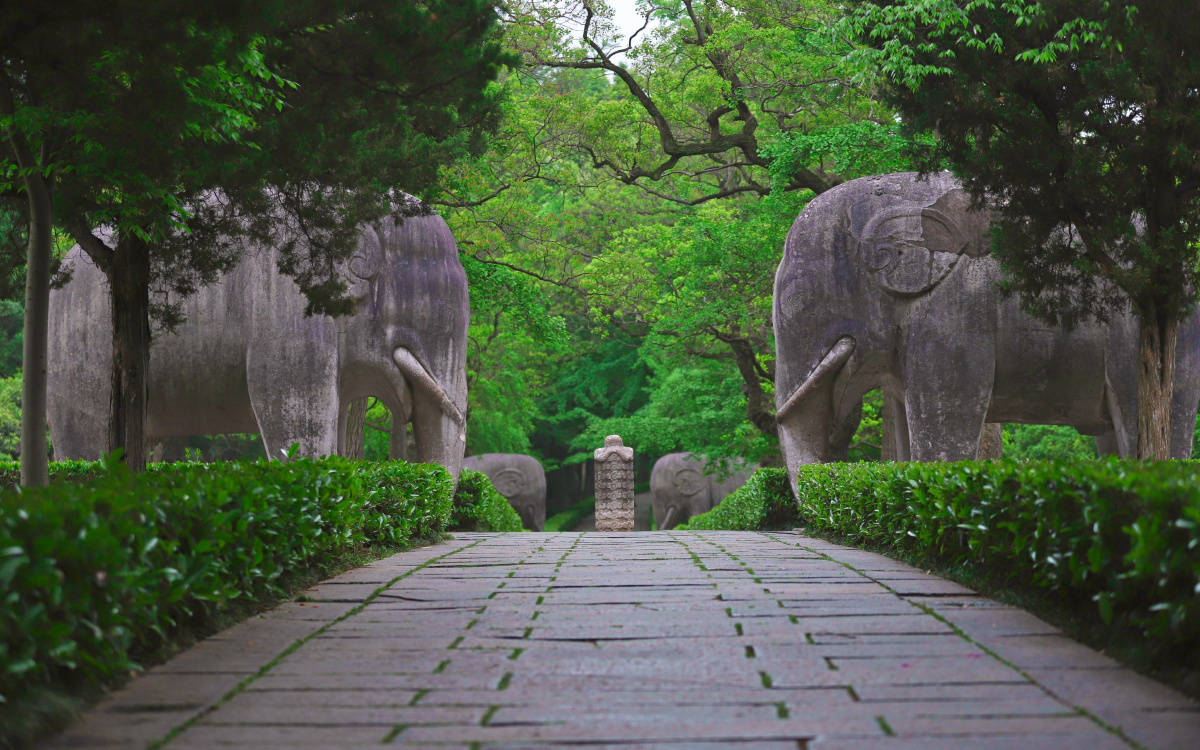 南京明孝陵石象路