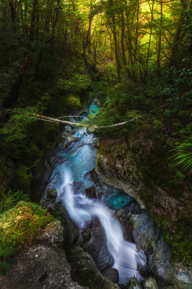 摄于新西兰路特本步道。