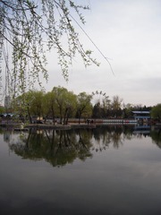 时光如酒，醉了岁月 016.jpg