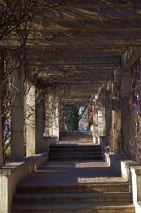 IMGP0203.jpg