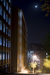 IMGP1186.jpg