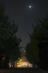 IMGP1191.jpg