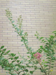 一零年酷夏