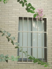 一零年酷夏
