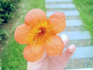 一零年酷夏