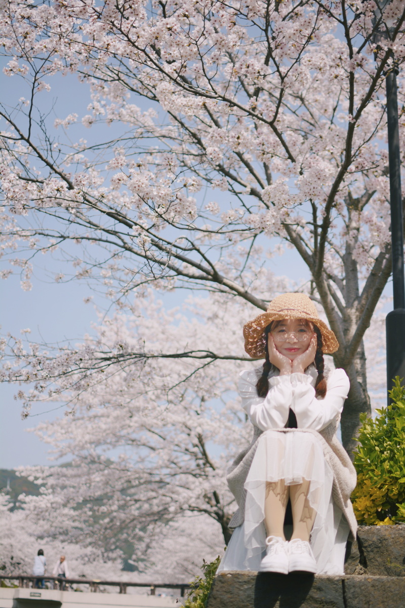 其实一共选了五十张然而只能发三十张2019继续拍喜欢的照片