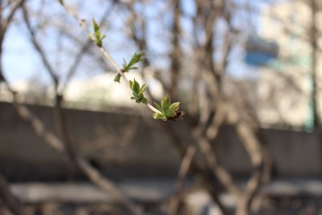 IMG_0102.jpg