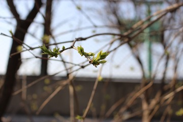 IMG_0103.jpg