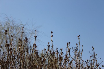 IMG_0106.jpg