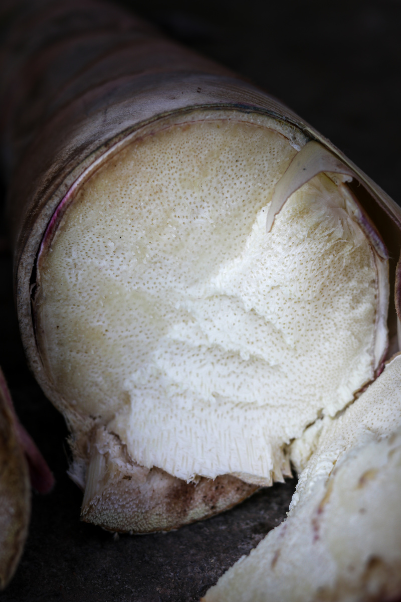 乡村田园系列甜罗笋 - 小米白 - 图虫