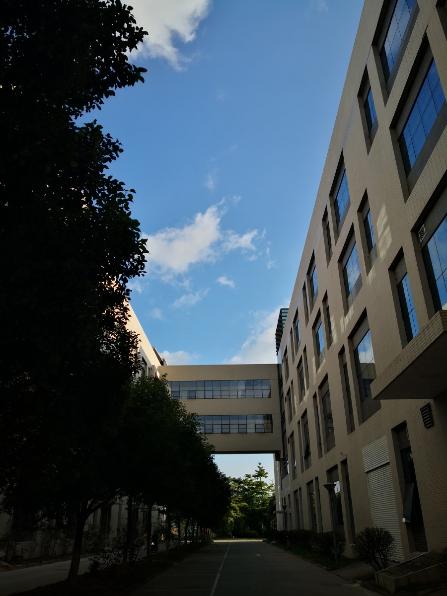 窗外·风景生于街头一起拾城城市画册山东摄影家俱乐部四川农村纪实