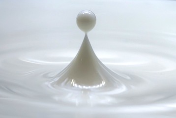 3044168