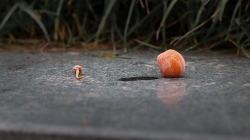 2008193