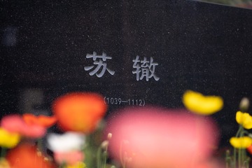 146105