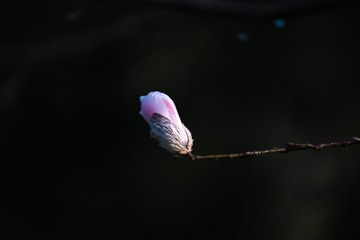 147031