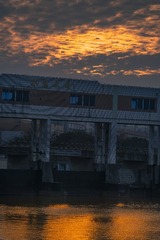 3035369