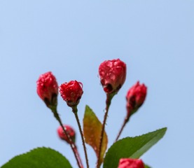 1230820