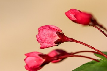 1230819