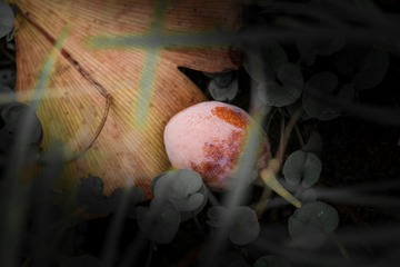 2008195